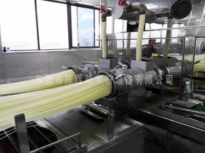 新型米粉設(shè)備 全新技術(shù)突破引領(lǐng)環(huán)保機(jī)械制造新紀(jì)元